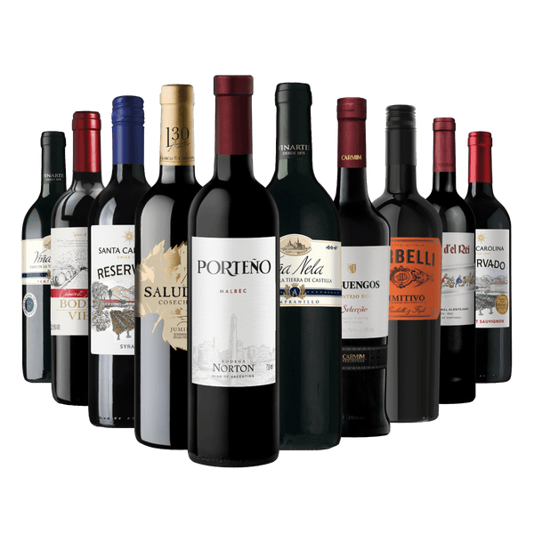 Kit 10 Vinhos Seleção Especial Vino & Market
