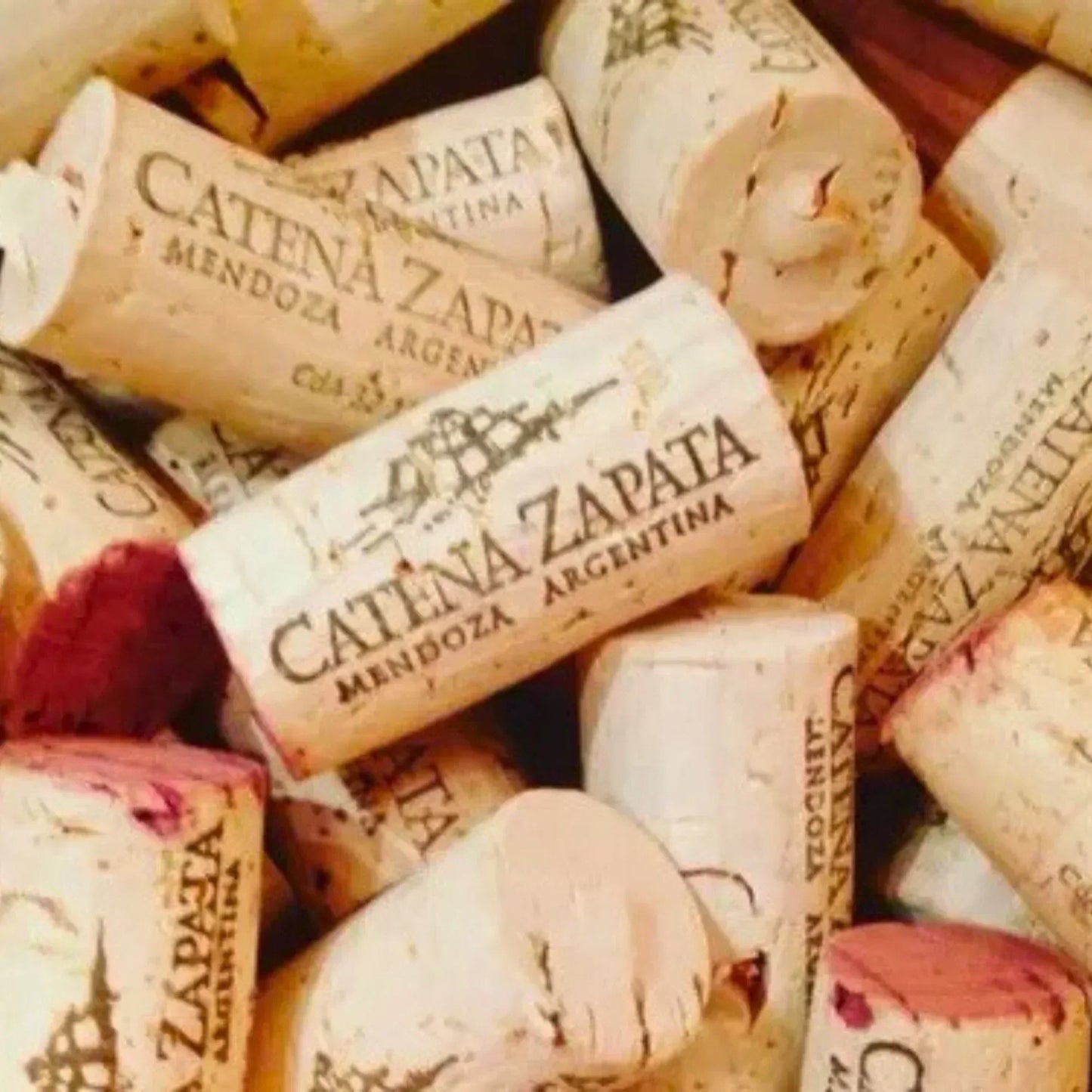 Kit 4 Vinhos Angélica Zapata Malbec Alta Caixa de Madeira